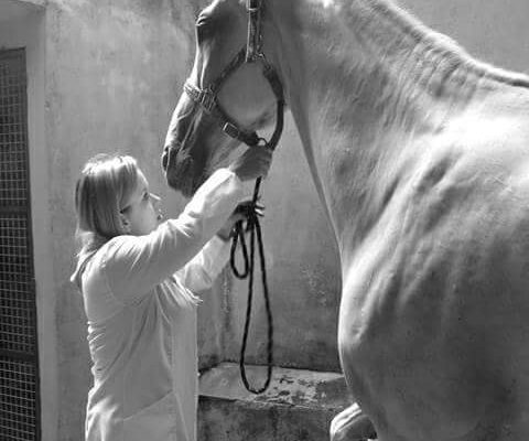 Mariana Zamaioli – Médica Veterinária