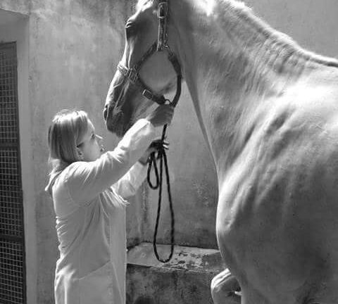 Mariana Zamaioli - Médica Veterinária de Grandes Animais